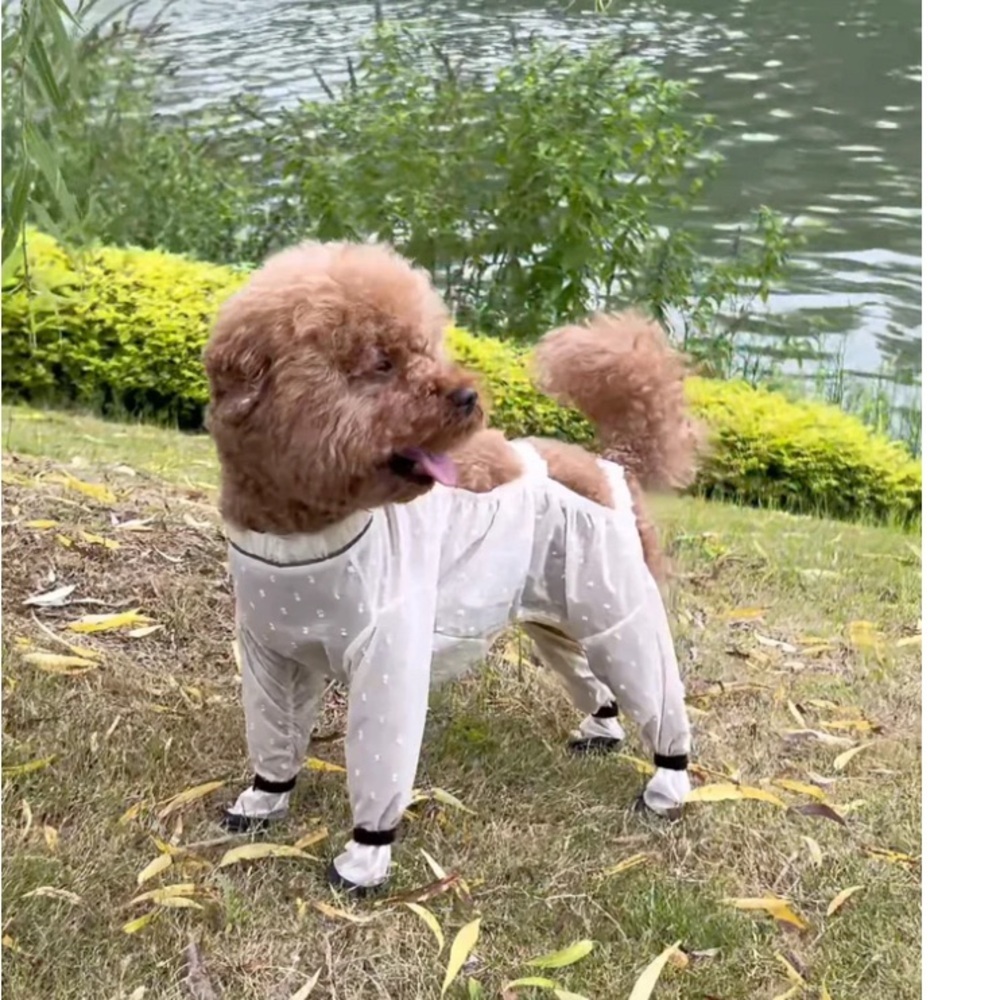 Protective Dog Suit with Black Accents